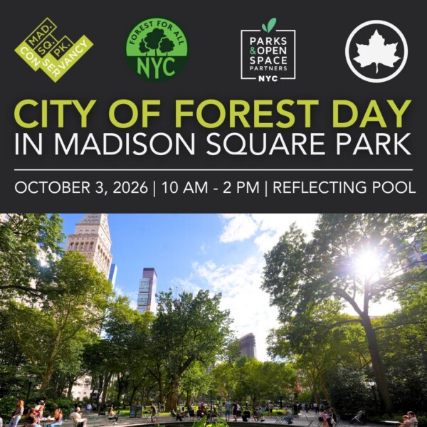 Madison Square Park City of Forest Day